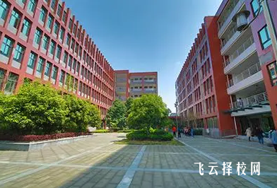 單招考試必須專業(yè)對(duì)口嗎