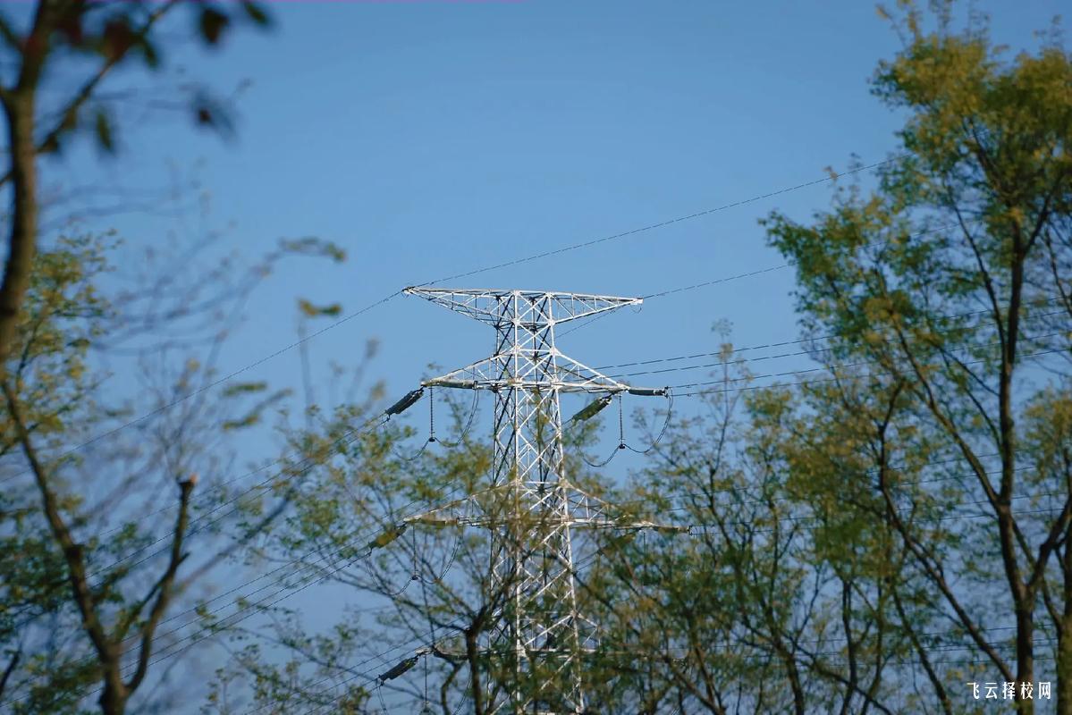 高技第幾年可以報單招