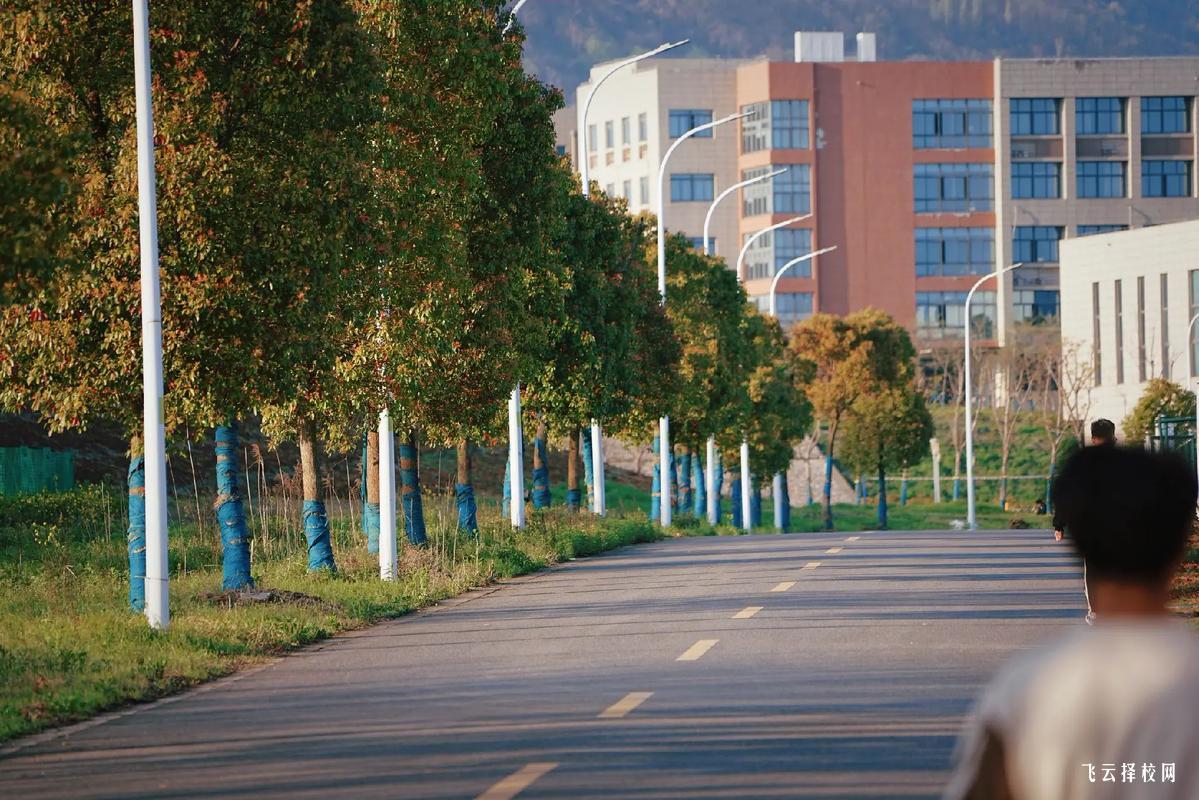 高考跟單招哪個學費貴