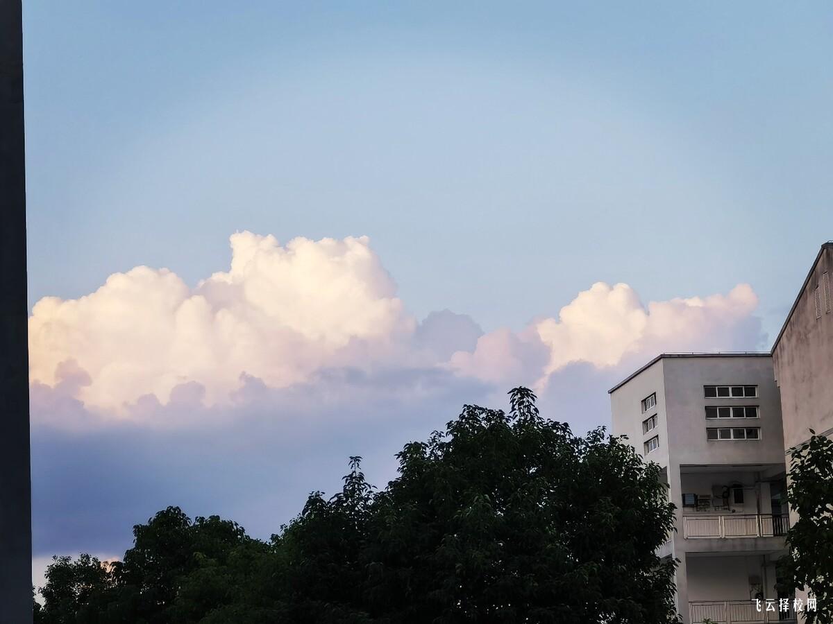 高一高二能考單招嗎