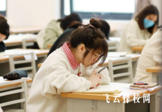 四川單考單招藝術類考什么