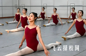 四川的舞蹈生走單招的有哪些學(xué)校