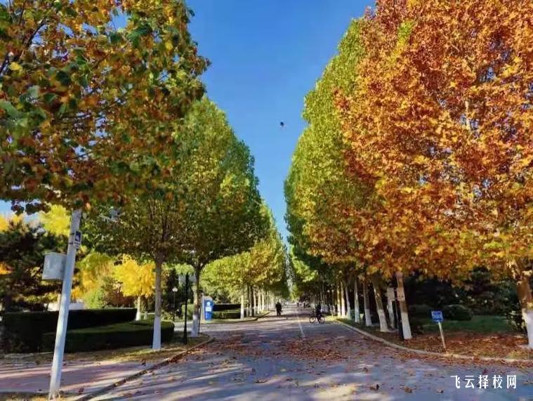 板倉職業技術學校是大專嗎