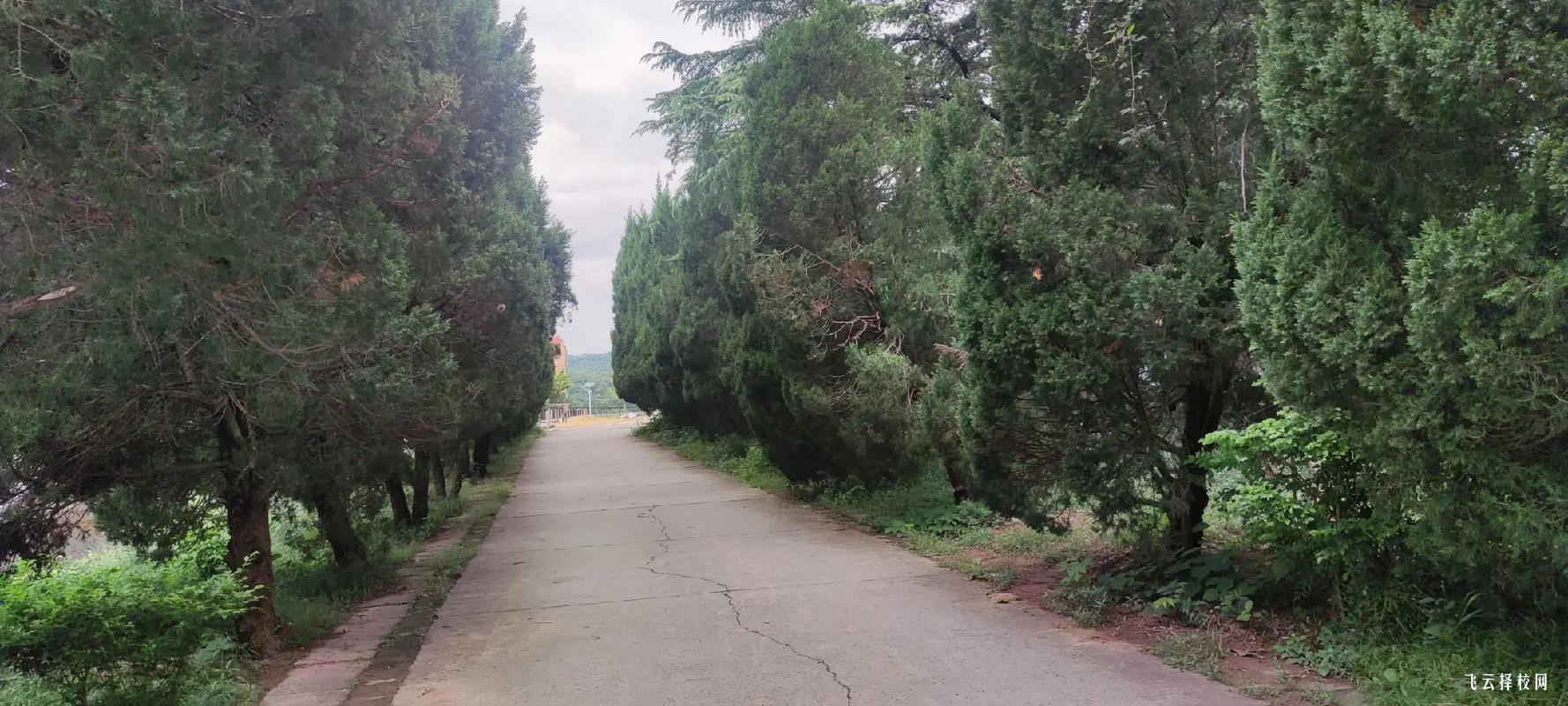 板倉職業技術學校是公辦還是民辦