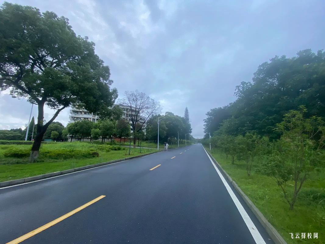 蒼溪職高2024招生簡章