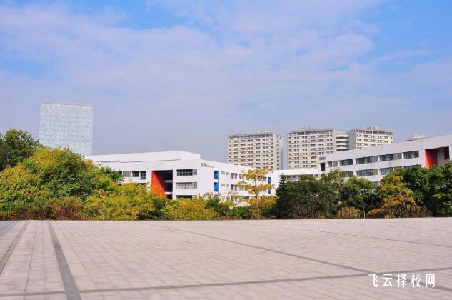 成都華大醫(yī)藥衛(wèi)生學(xué)校哪個專業(yè)比較好