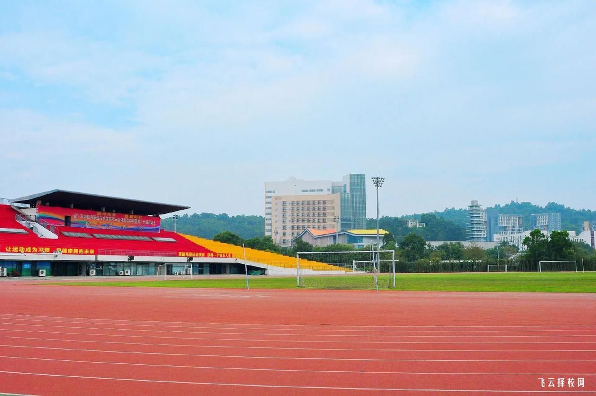 成都華大醫藥衛生學校是職高嗎