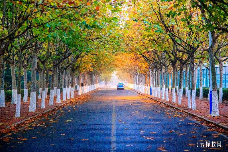 綿陽九洲技師學院是公辦還是民辦