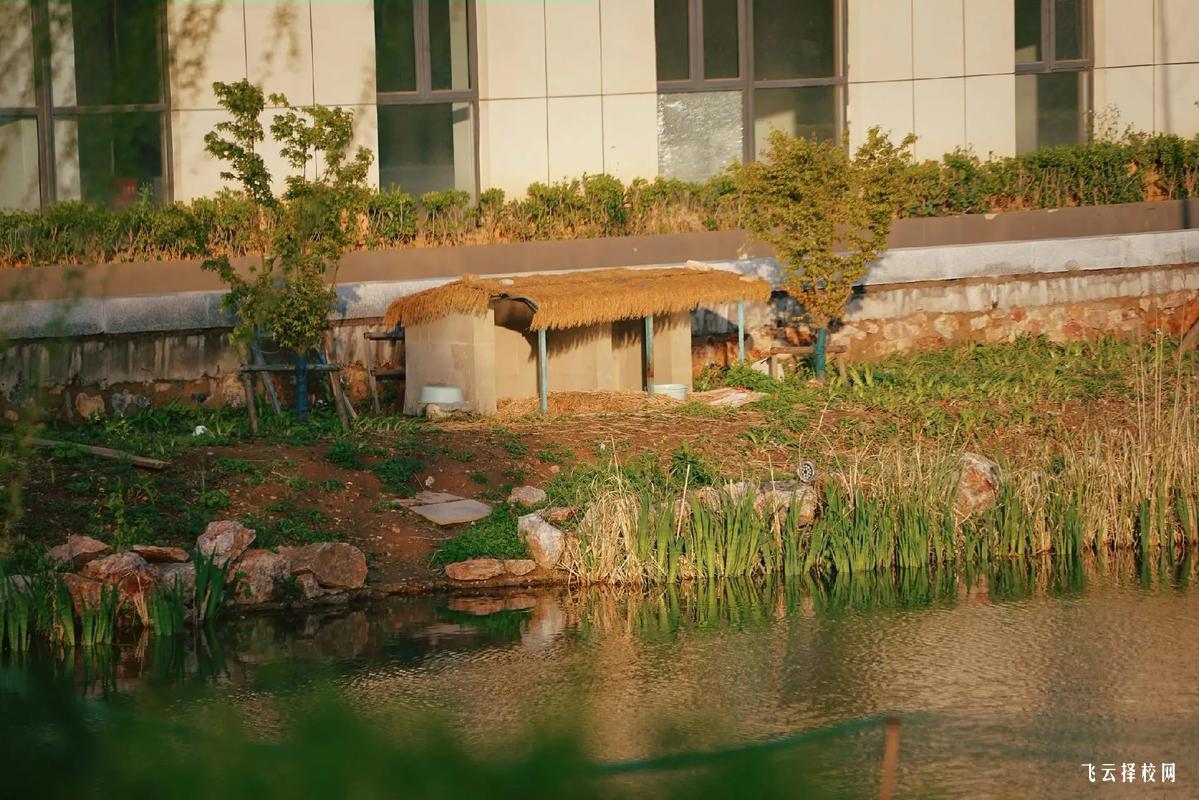 青蘇職業技術學院是大專嗎