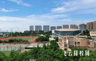 四川財經(jīng)職業(yè)技術(shù)學(xué)院是本科還是專科