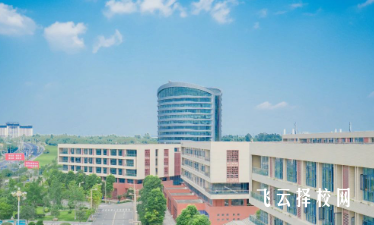 四川城市職業(yè)技術(shù)學(xué)院2024年分?jǐn)?shù)線