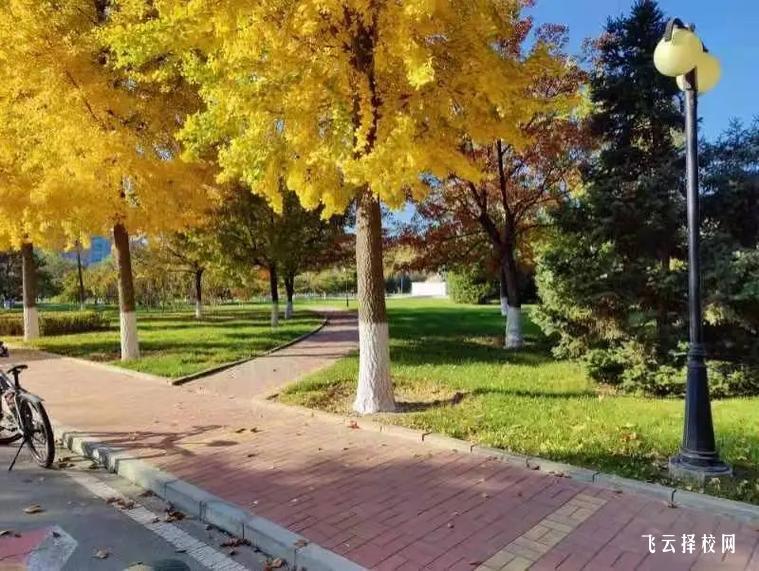 四川護理職業學院中專部招生