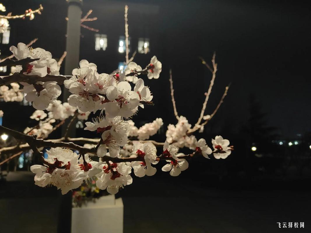 四川機電職業(yè)技術學院的評價