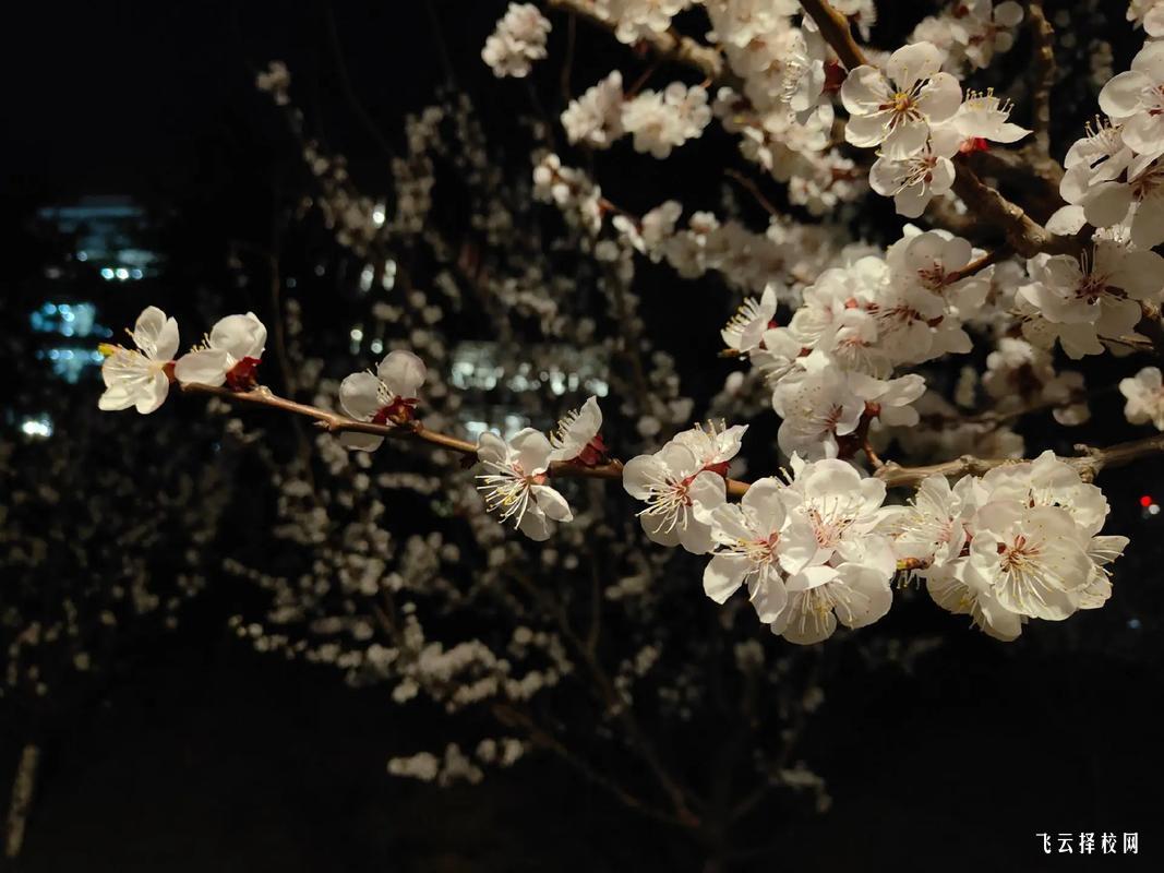 四川機電職業技術學院有哪些專業