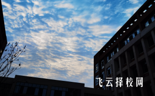 四川理工技師學院有幾個校區