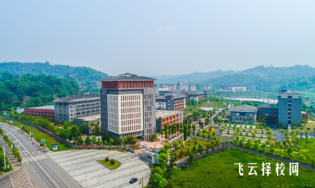 雅安職業技術學院2024錄取分數線