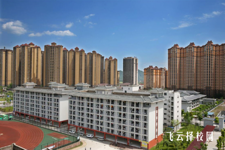 雅職院2025年招生簡章