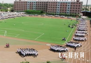 14歲初中沒畢業(yè)可以干什么