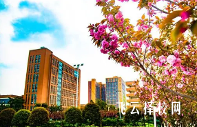 四川希望汽車技師學院2025年招生簡章