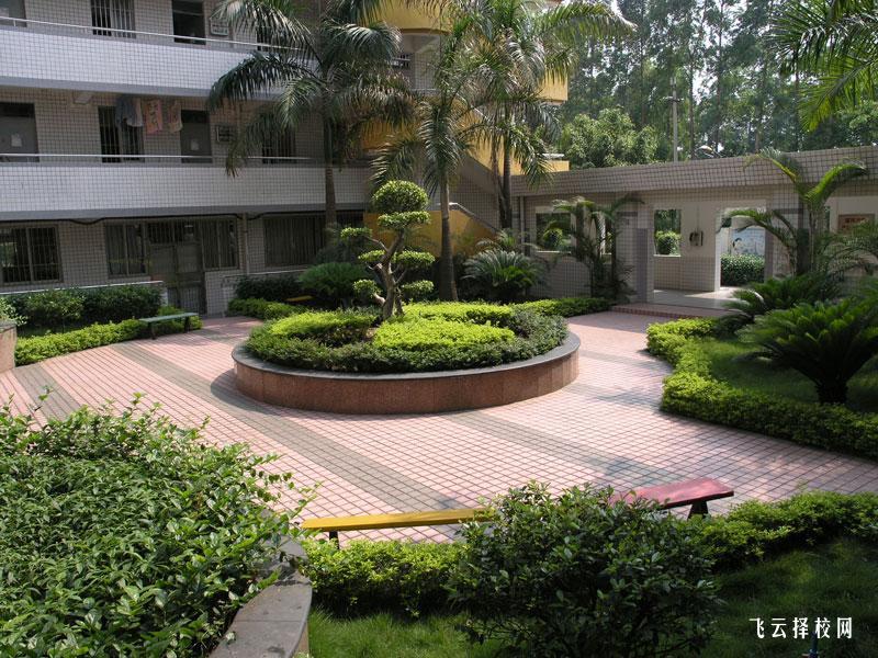 四川省鹽亭縣職業技術學校2025年招生簡章