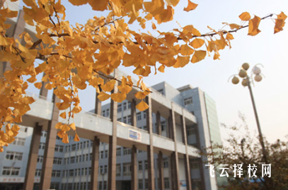 四川省開江縣職業中學2025年招生簡章