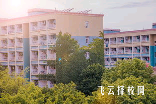 四川省大竹縣職業中學2025年招生簡章