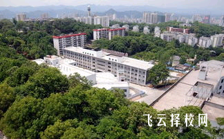 四川理工技師學院2025年招生簡章