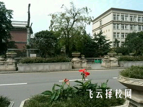 攀枝花商貿電子職業技術學校2025年招生簡章