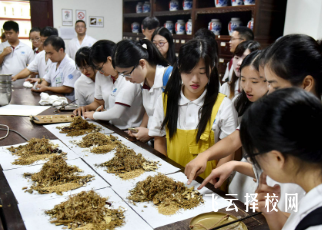 2025年四川單招可以報中醫學嗎