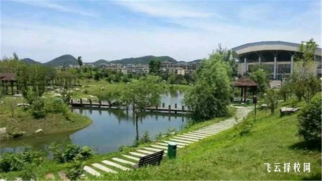 成都美思單招培訓學校2025招生簡章