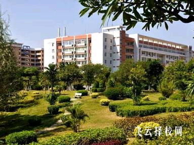 成都職業技術學院24年單招分數線多少