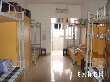 單招報名2025預估時間