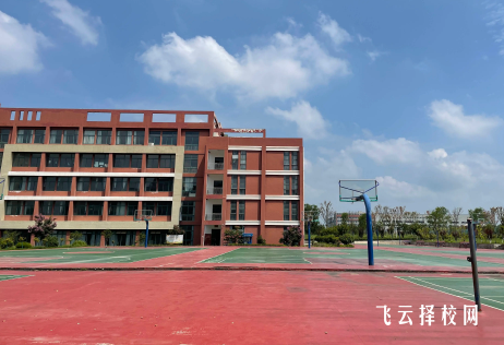 單招培訓有沒有必要