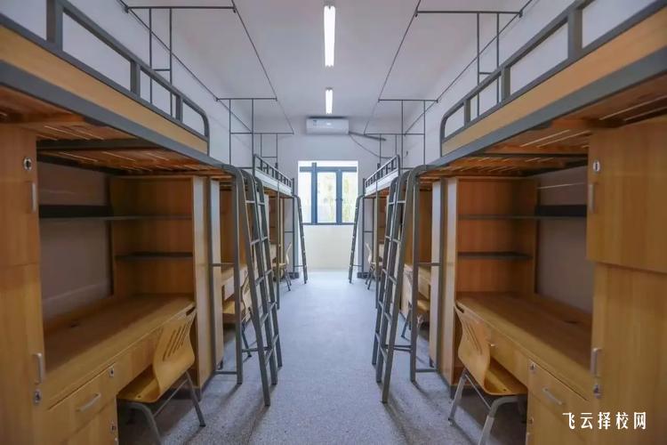 單招通過率提升攻略,新手如何快速上岸