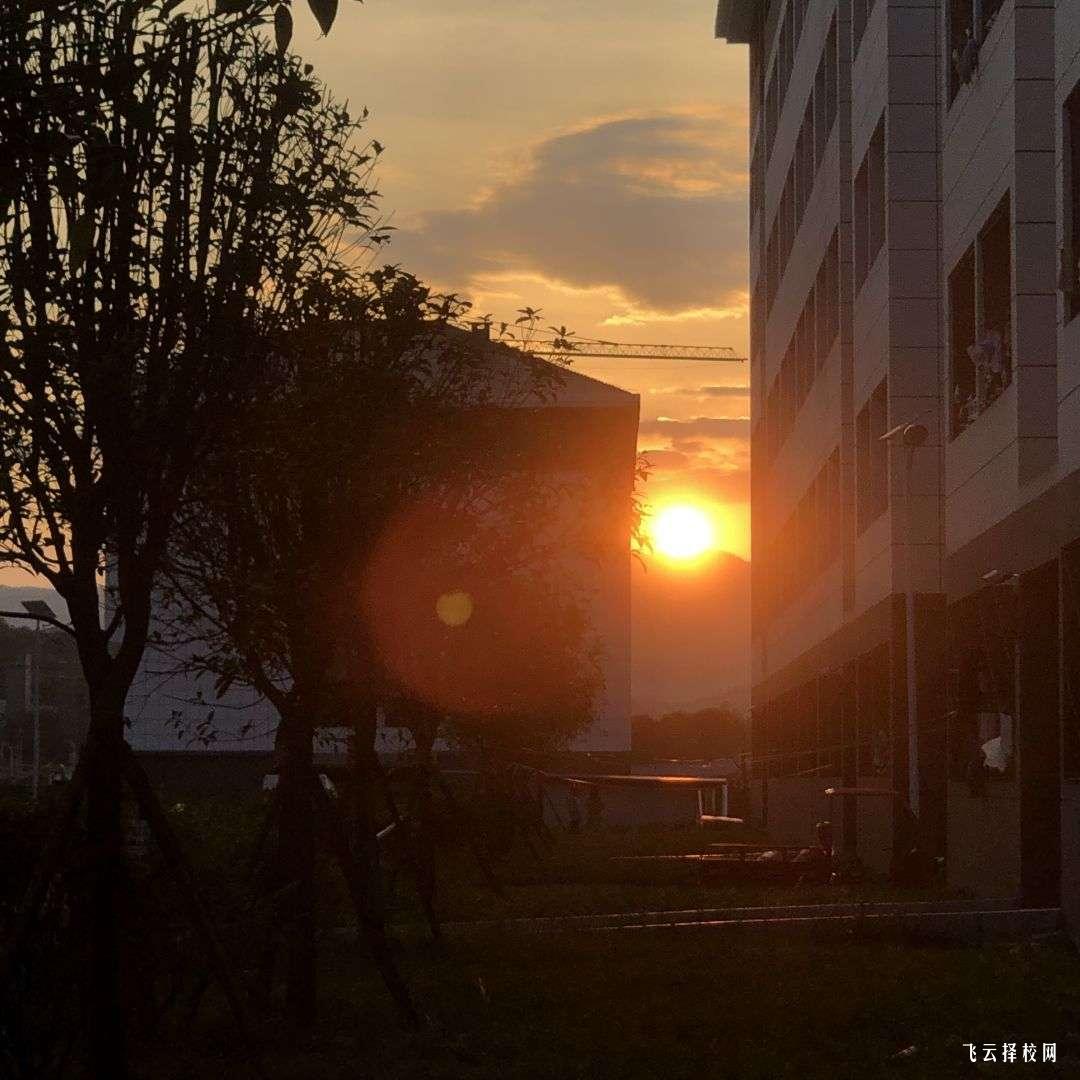 單招有哪些好學校四川