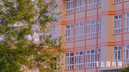 單招最吃香的5個專業(yè)