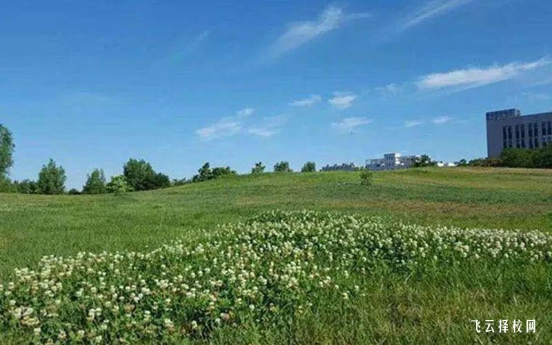 瀘州職業(yè)技術(shù)學(xué)院?jiǎn)握袖浫【€2024