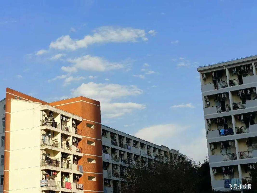 眉山哪里可以參加單招培訓