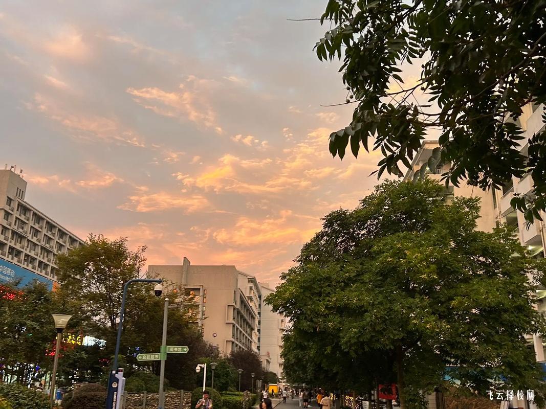 內(nèi)江單招分?jǐn)?shù)是多少分錄取