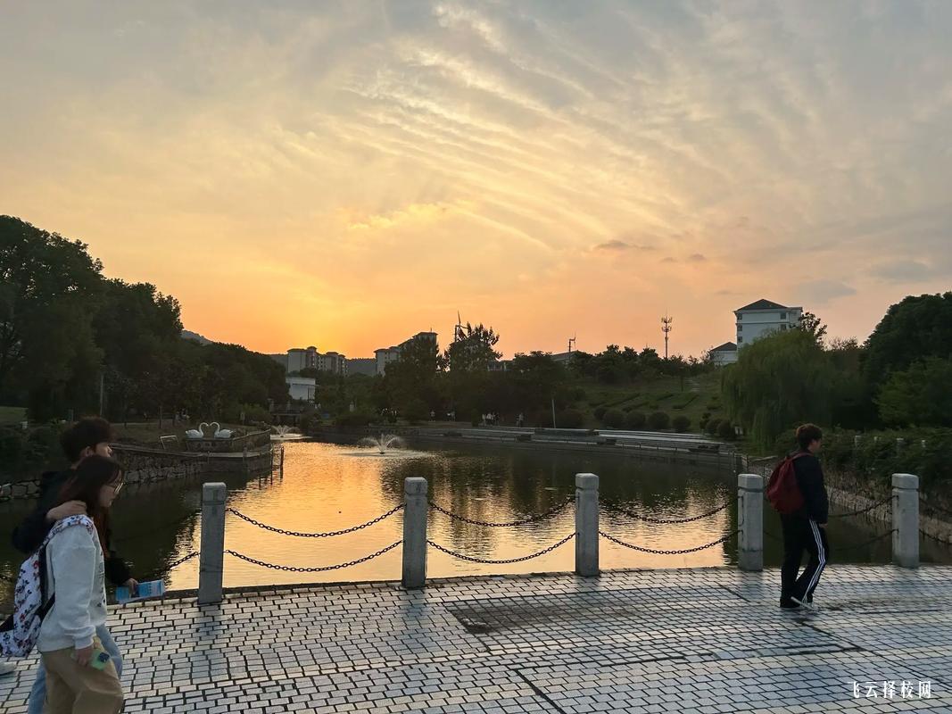 內(nèi)江單招分?jǐn)?shù)是多少分錄取