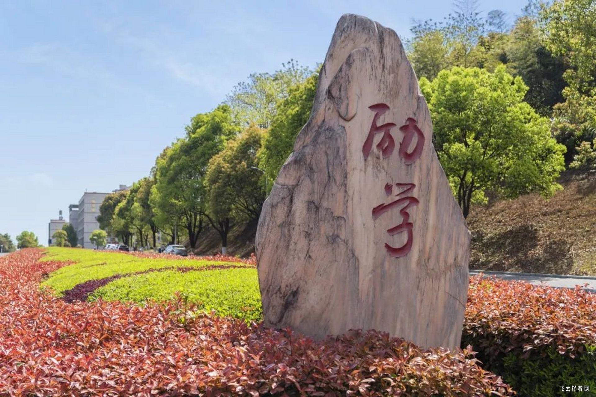 攀枝花學(xué)院有些什么單招專業(yè)