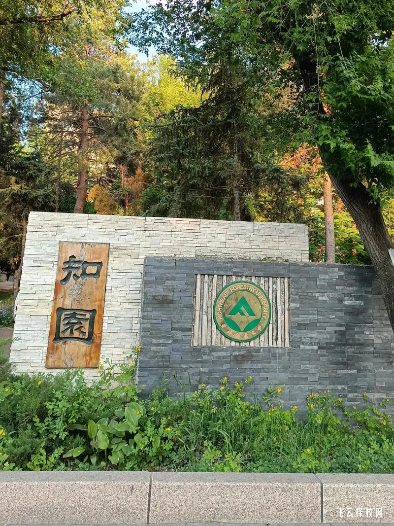 峨眉山市職業(yè)技術(shù)學(xué)校2025年招生簡章