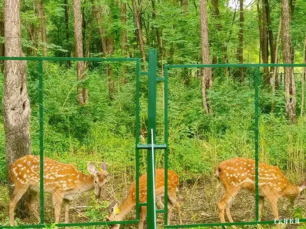 合江縣少岷職業技術學校2025年招生簡章