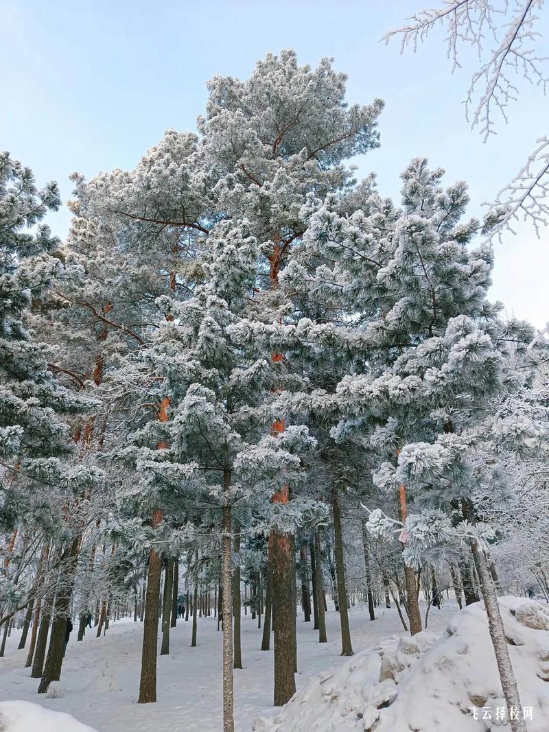 合江縣少岷職業技術學校2025年招生簡章