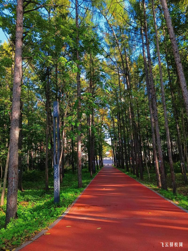 夾江縣云吟職業中學2025年招生簡章