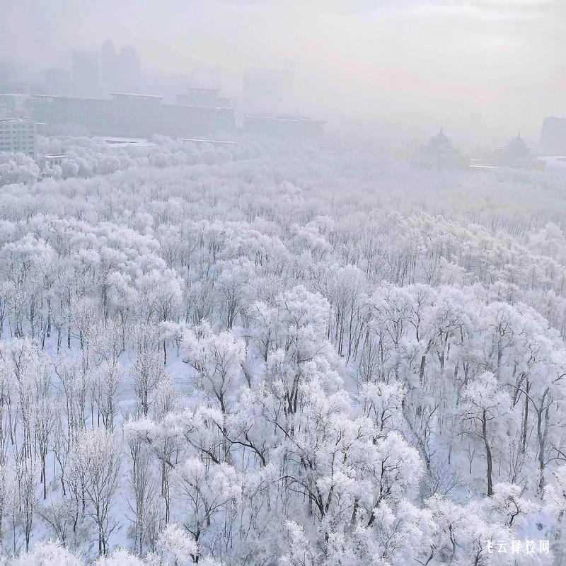 簡陽市高級職業(yè)中學(xué)2025年招生簡章