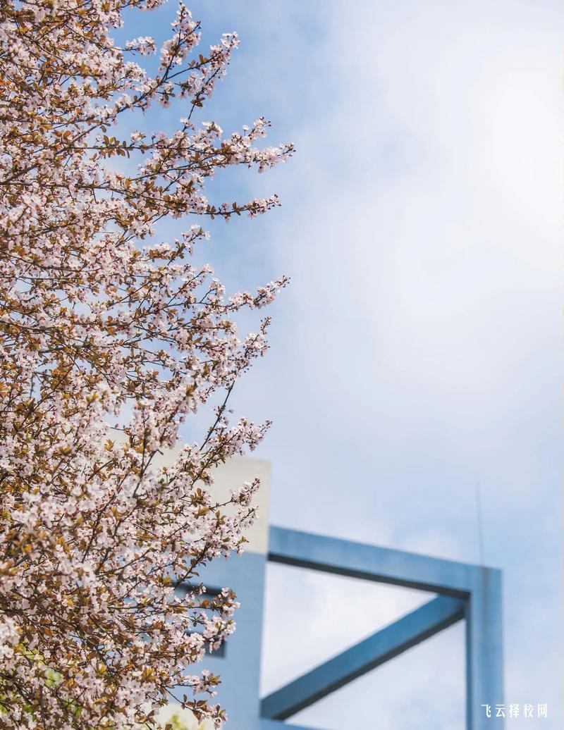 成都市華大醫藥衛生學校2025年招生簡章