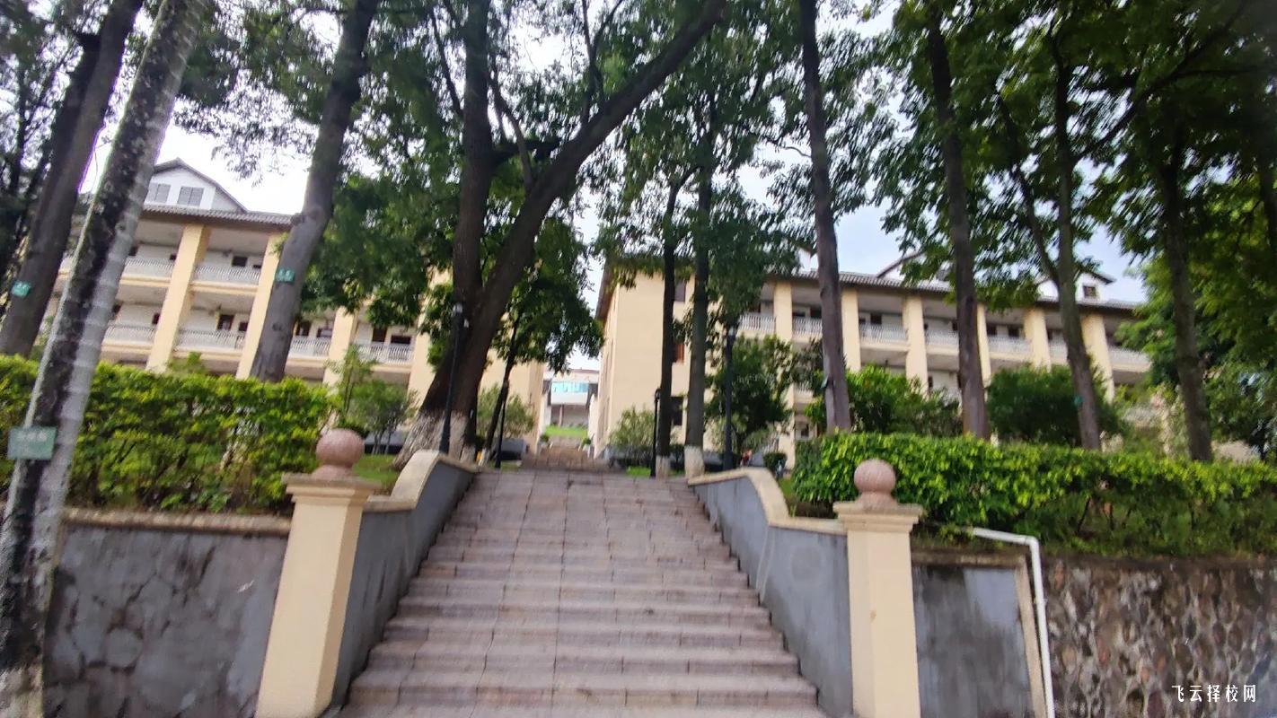 成都市郫都區(qū)友愛職業(yè)技術(shù)學(xué)校2025年招生簡章