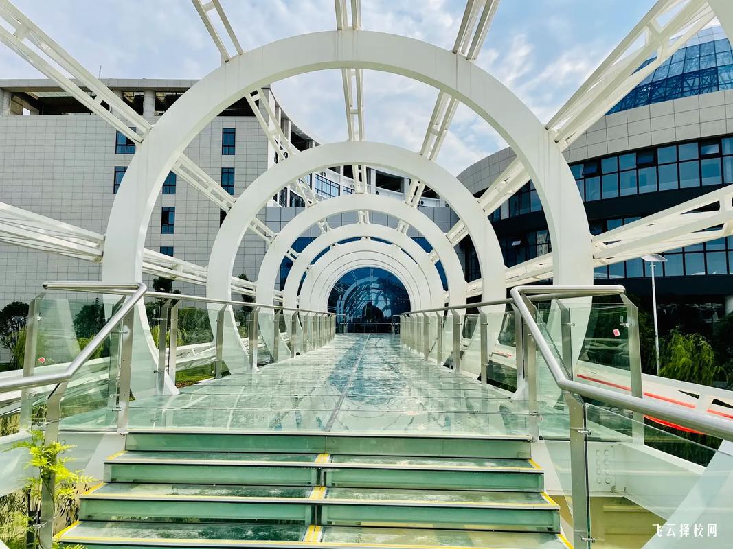 成都市新津區(qū)技工學(xué)校2025年招生簡章