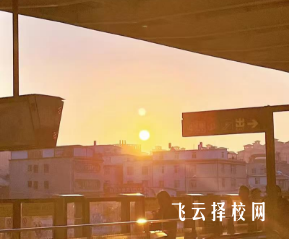 2024年四川單招培訓(xùn)班費(fèi)用是多少,如何避免超支？